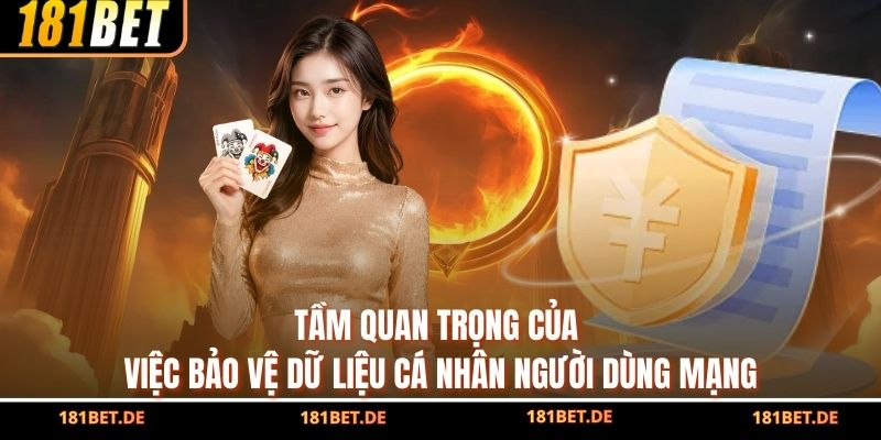 Tầm quan trọng của việc bảo vệ dữ liệu cá nhân người dùng mạng